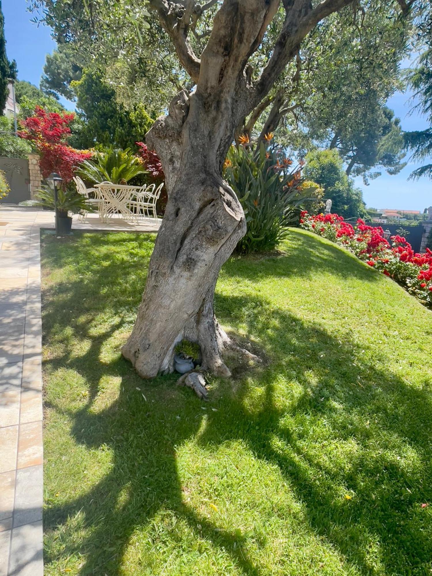 Villa Gaia - Luxury Villa, Pool & Wellness Rooms Bordighera Exterior foto
